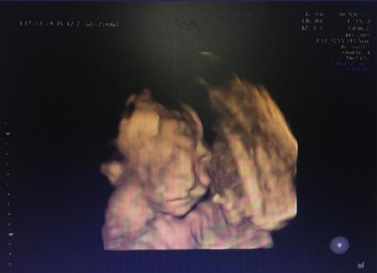 尊龙凯时人生就是博--官网入口