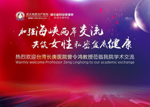 海峡两岸盆底学术交流