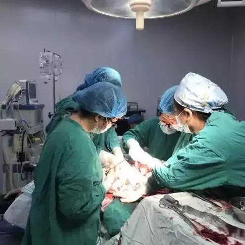 有数!江城230斤孕妇顺遂产下7斤宝宝!