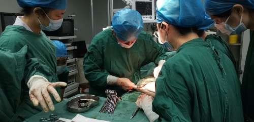 尊龙凯时人生就是博--官网入口