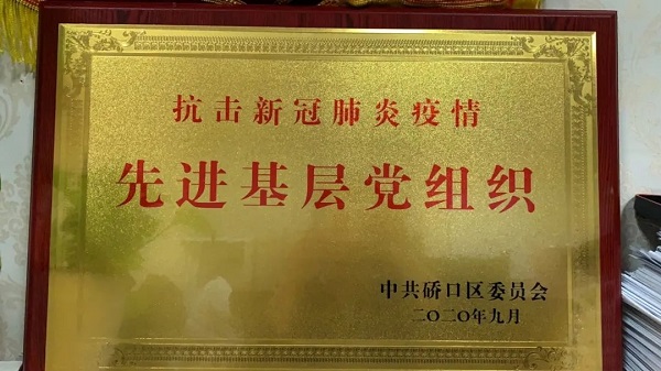武汉仁爱医院荣获硚口区先进下层党组织表扬
